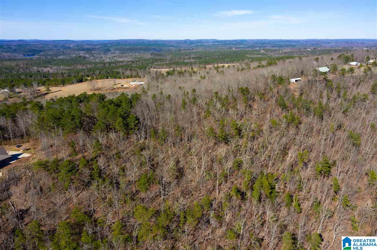 0 Drake Drive Springville, AL 35146 - Photo 23 of 23