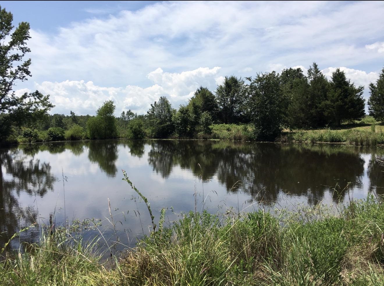 105 Bateman Road Moscow, TN 38057 - Photo 2 of 26 a view of a lake