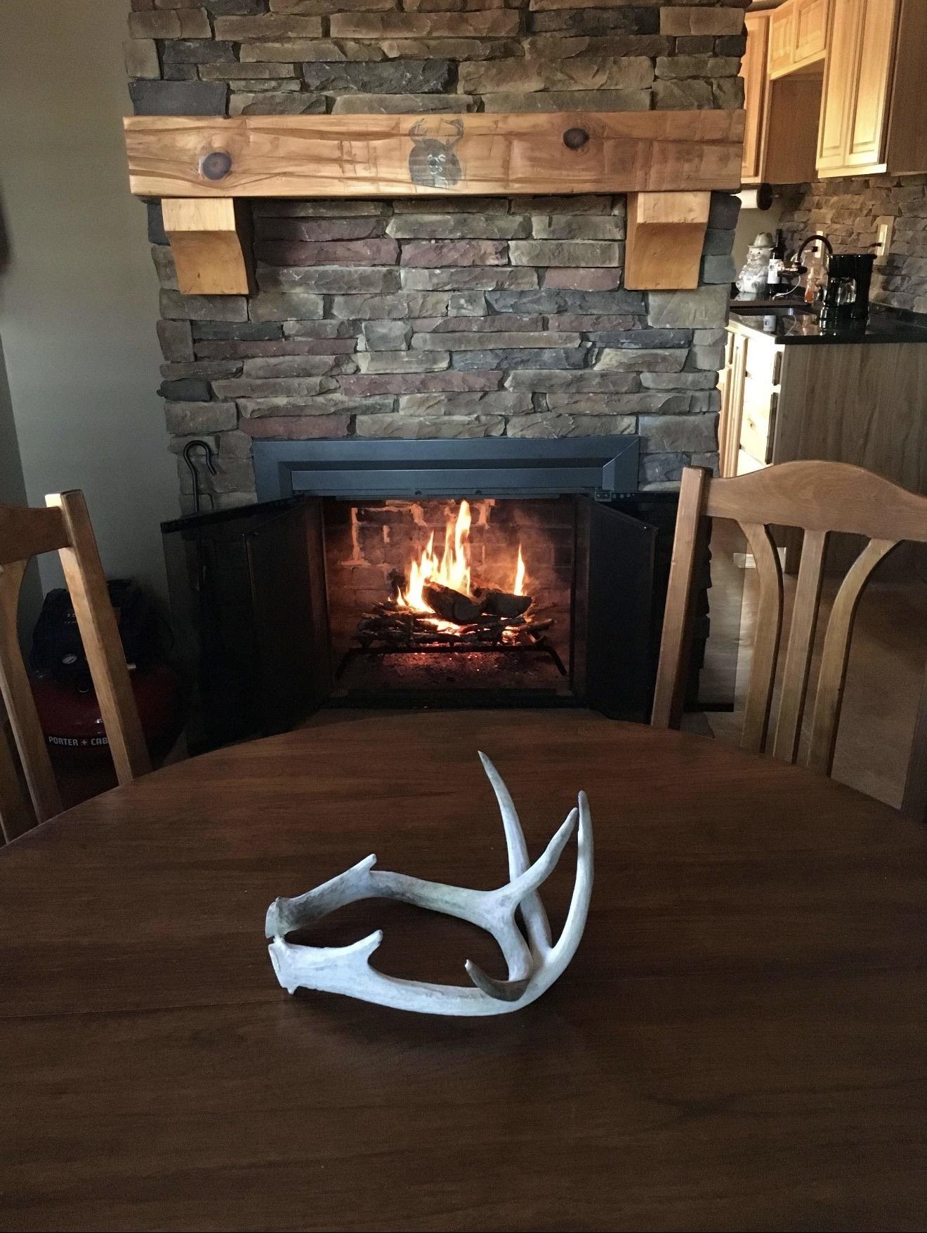 105 Bateman Road Moscow, TN 38057 - Photo 9 of 26