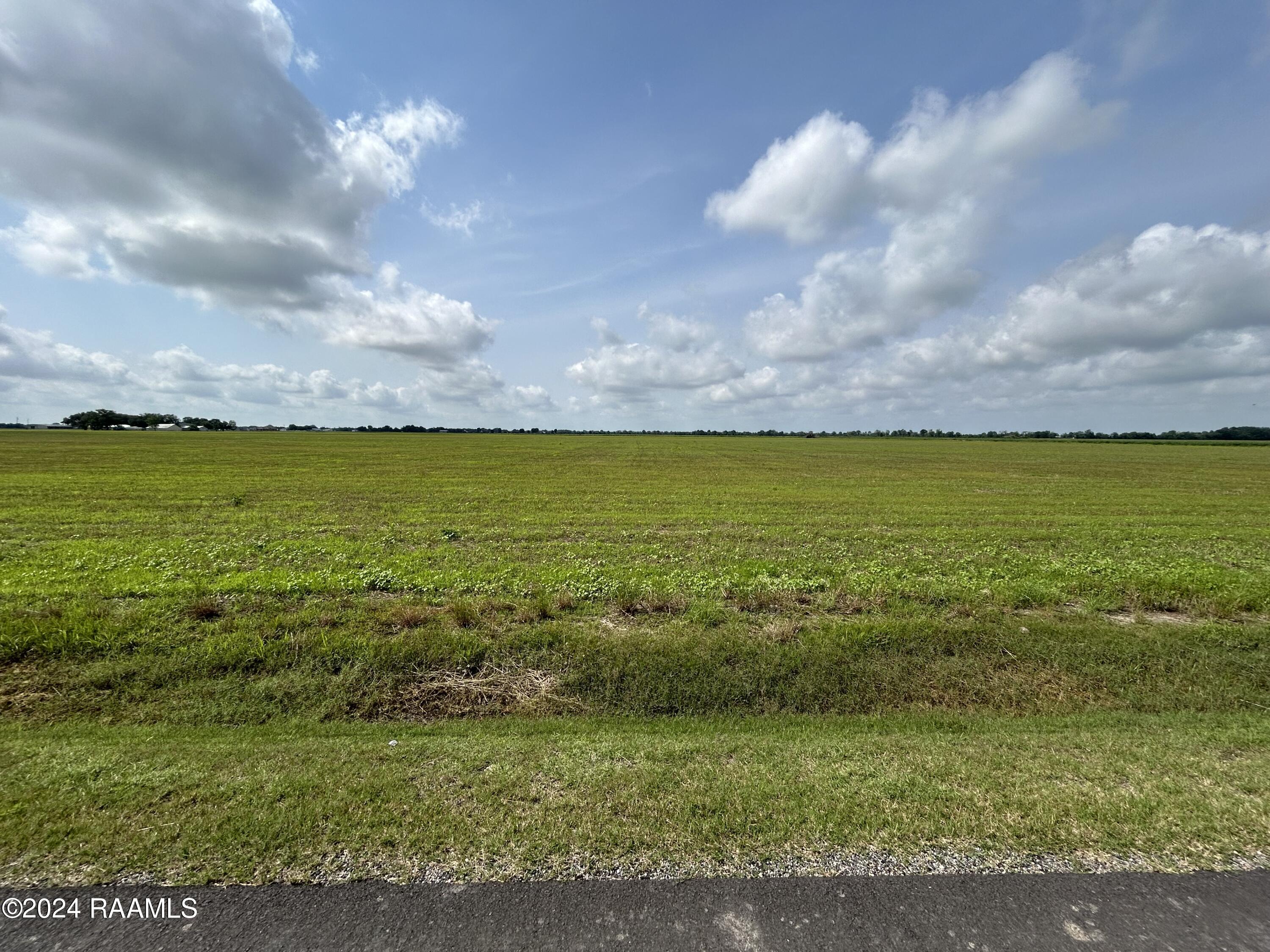 1401 Sellers Road, Unit LOT 10 Rayne, LA 70578 - Photo 3 of 7 IMG_1197