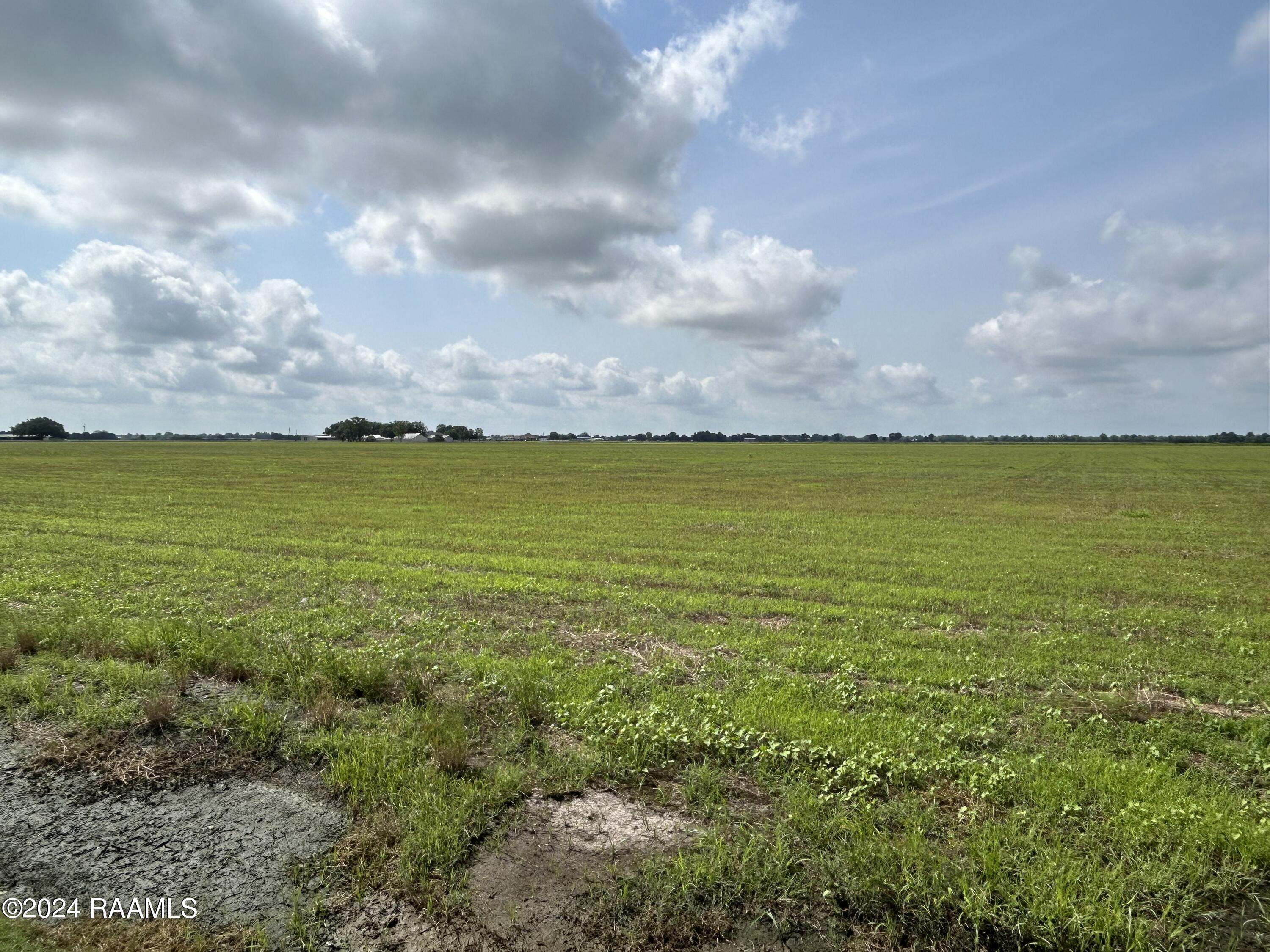 1401 Sellers Road, Unit LOT 10 Rayne, LA 70578 - Photo 4 of 7 IMG_1196