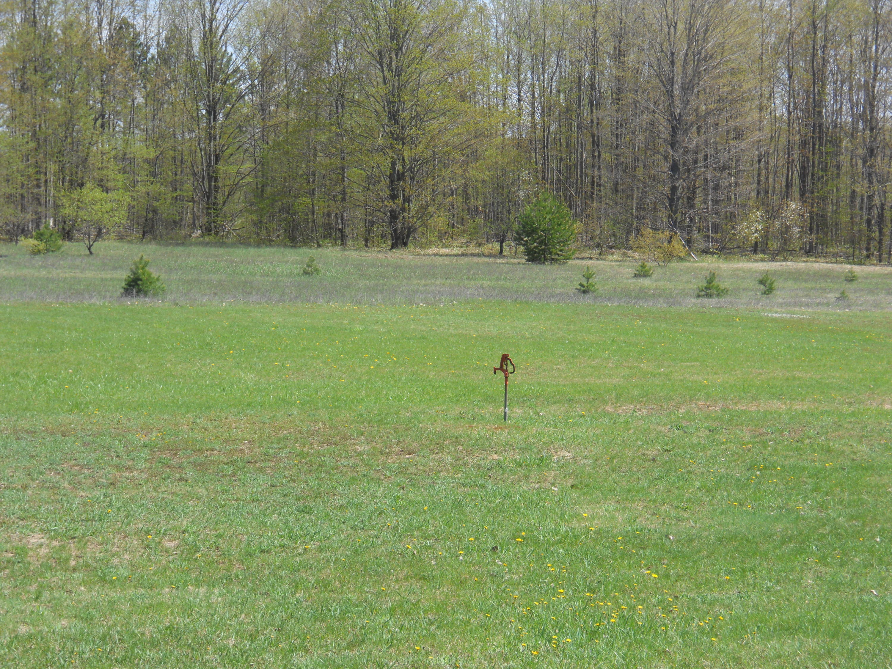 1550 Patterson Road Elmira, MI 49730 - Photo 30 of 35 Gallery Image 30