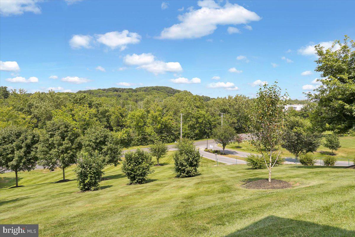 28 Calming Trail Sinking Spring, PA 19608 - Photo 4 of 43 a view of yard with swimming pool