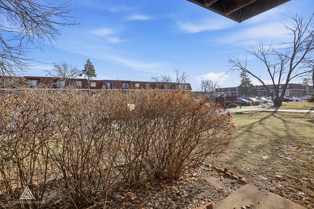 a view of road with large trees