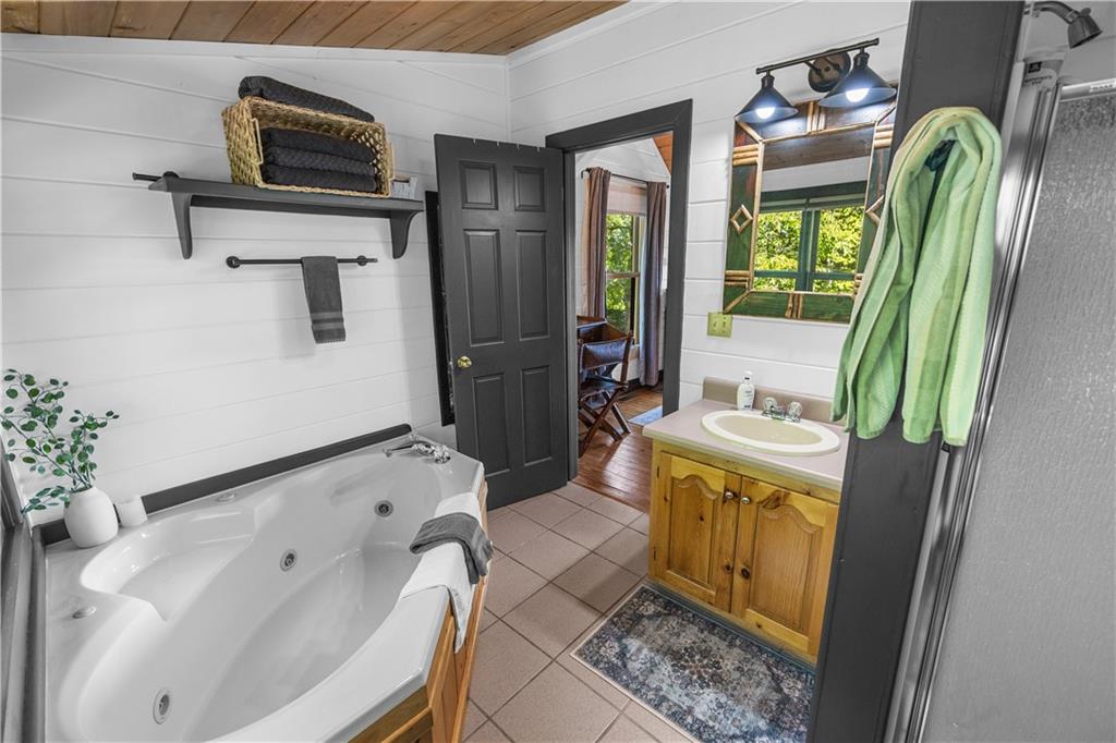 832 Scenic Mountain View Road Blue Ridge, GA 30513 - Photo 22 of 56 a bathroom with a tub sink and mirror
