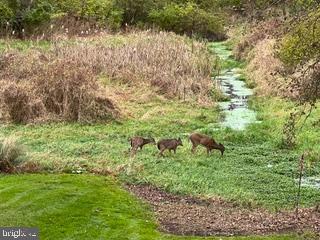 238 Heatherstone Way Lancaster, PA 17601 - Photo 134 of 141 Herd about us?