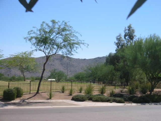 3034 East Fremont Road Phoenix, AZ 85042 - Photo 5 of 6 Additional Photo