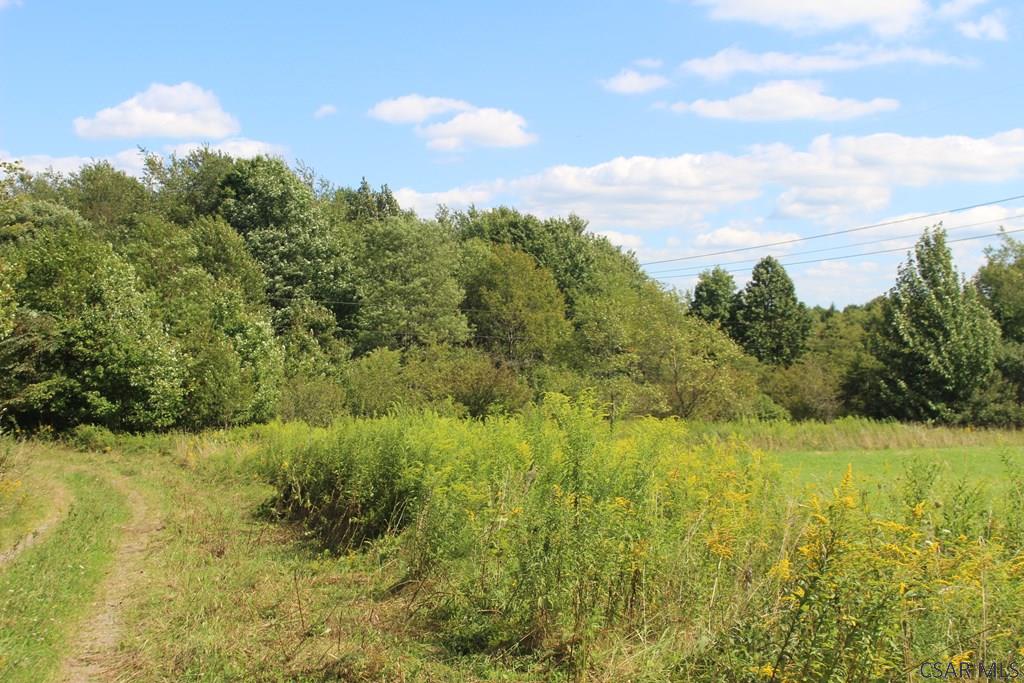 Lot # Wess Road, Unit 5 Mineral Point, PA 15942 - Photo 10 of 13