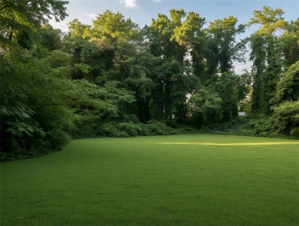 1189 Rock Cut Road Forest Park, GA 30297 - Photo 20 of 23 a view of a field with a trees in the background