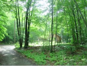 425 Cedar Rock Road Arlington, VT 05250 - Photo 2 of 6 Gallery Image 2