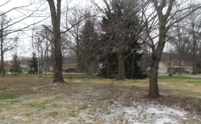 10430 Dewhurst Road Elyria, OH 44035 - Photo 7 of 10 Gallery Image 7