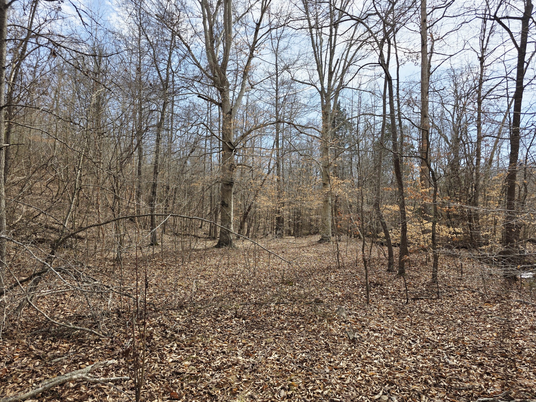 0 Birdsong Road Holladay, TN 38341 - Photo 23 of 70