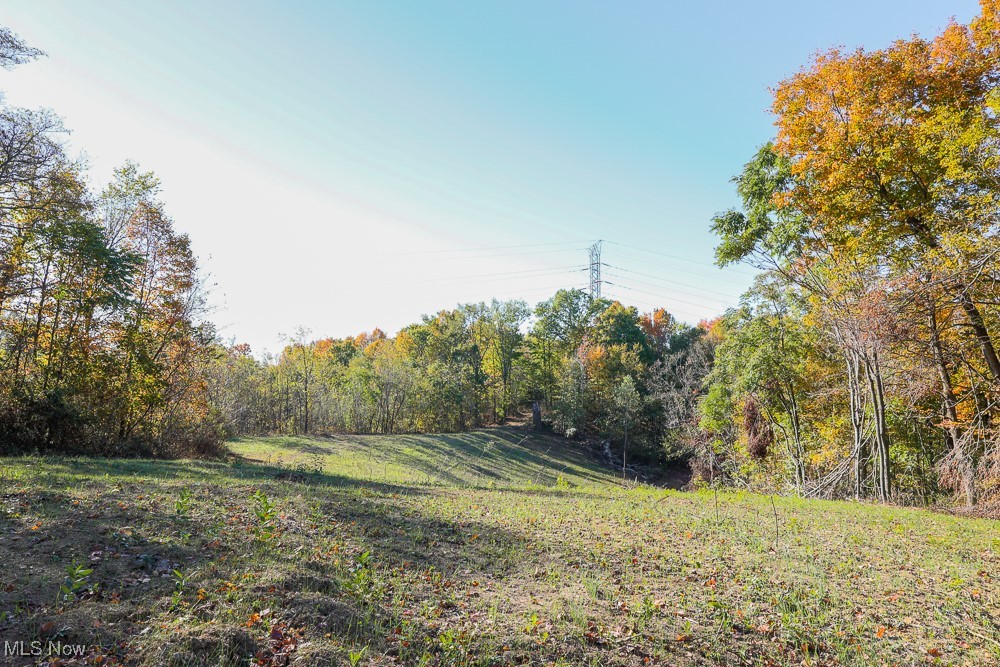Flint Ridge Road Northeast Crooksville, OH 43731 - Photo 1 of 25 View of yard