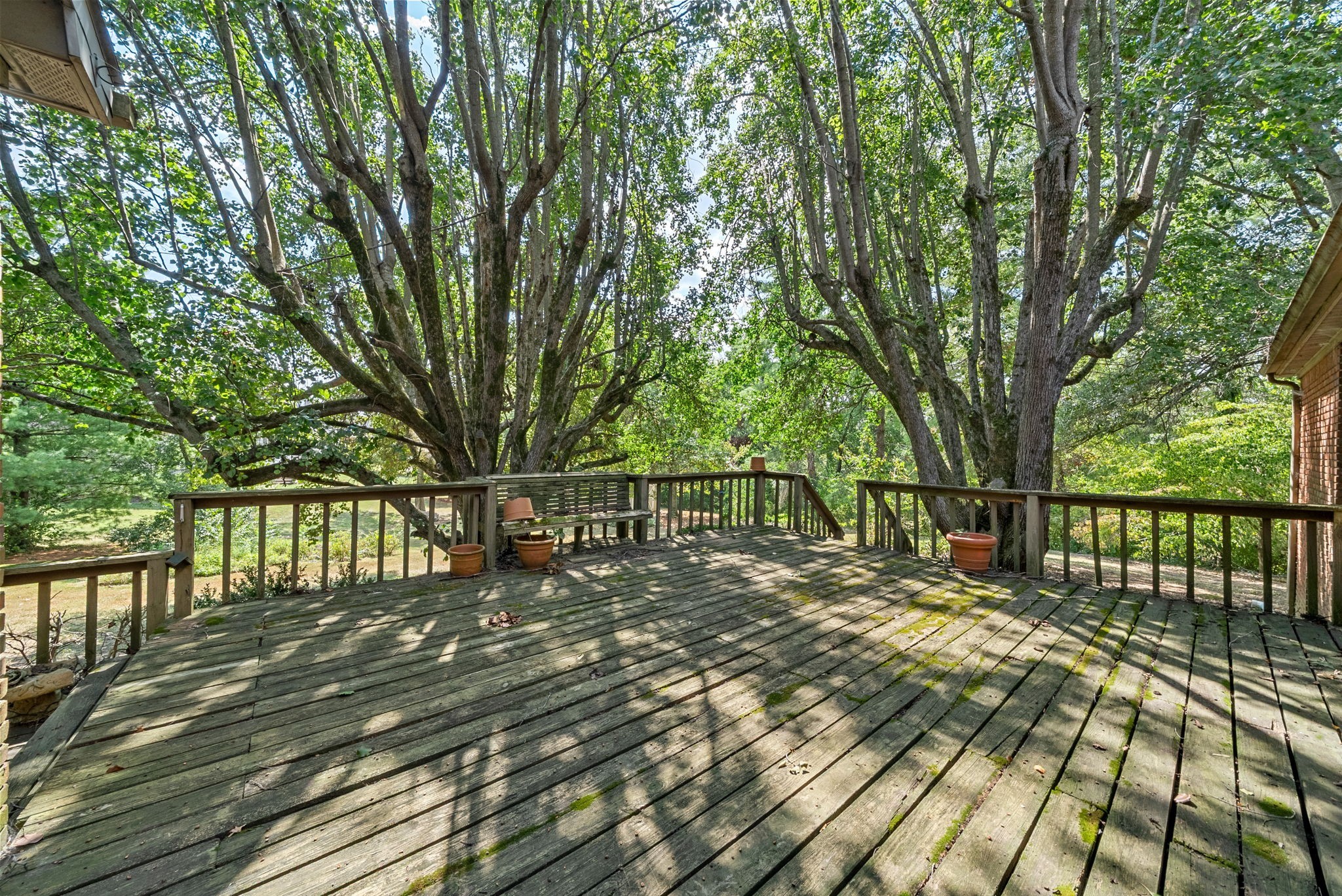 3058 Cox Mill Road Hopkinsville, KY 42240 - Photo 55 of 60 a view of a balcony with trees