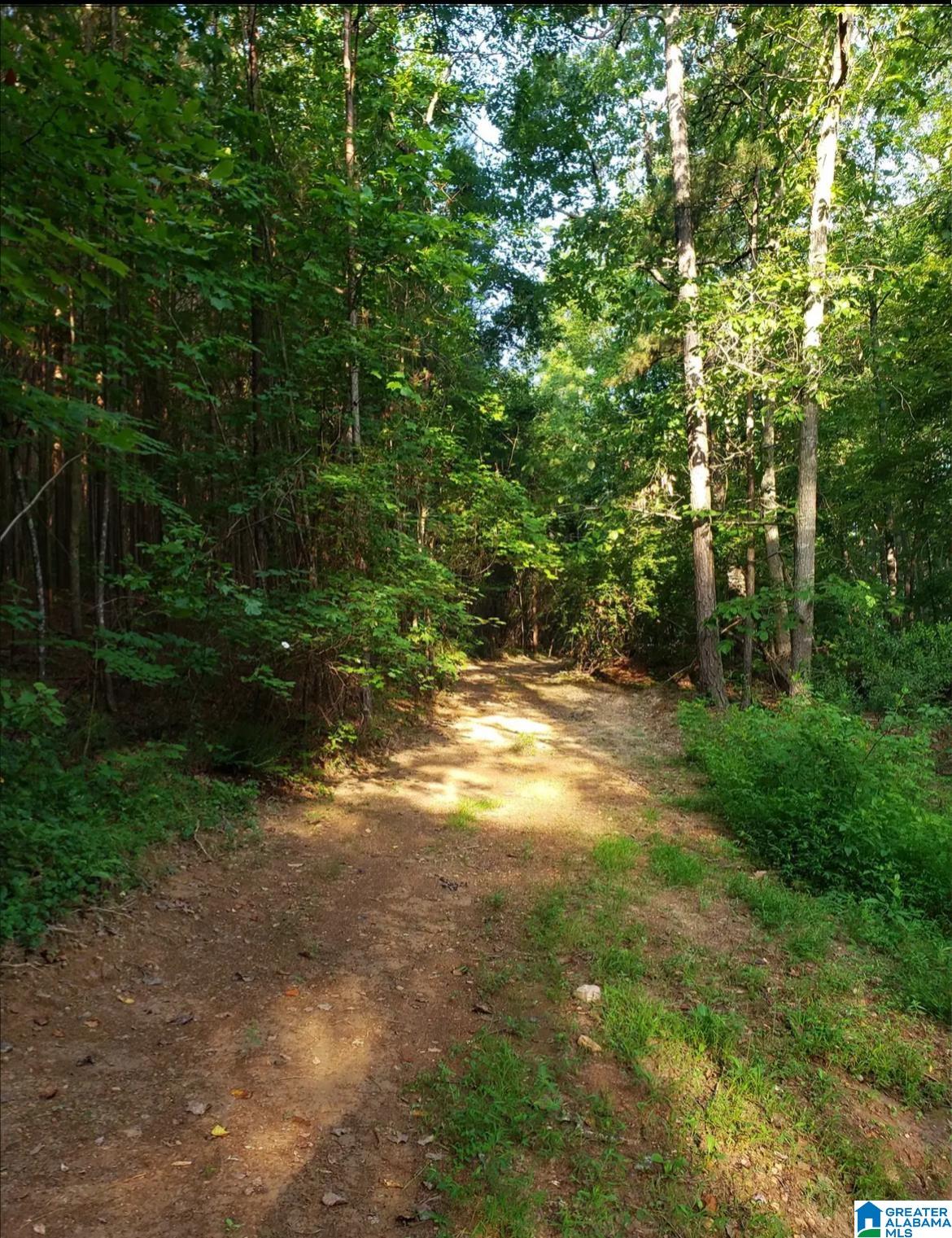 0 Divided Ridge Road, Unit 9 Ragland, AL 35131 - Photo 23 of 40
