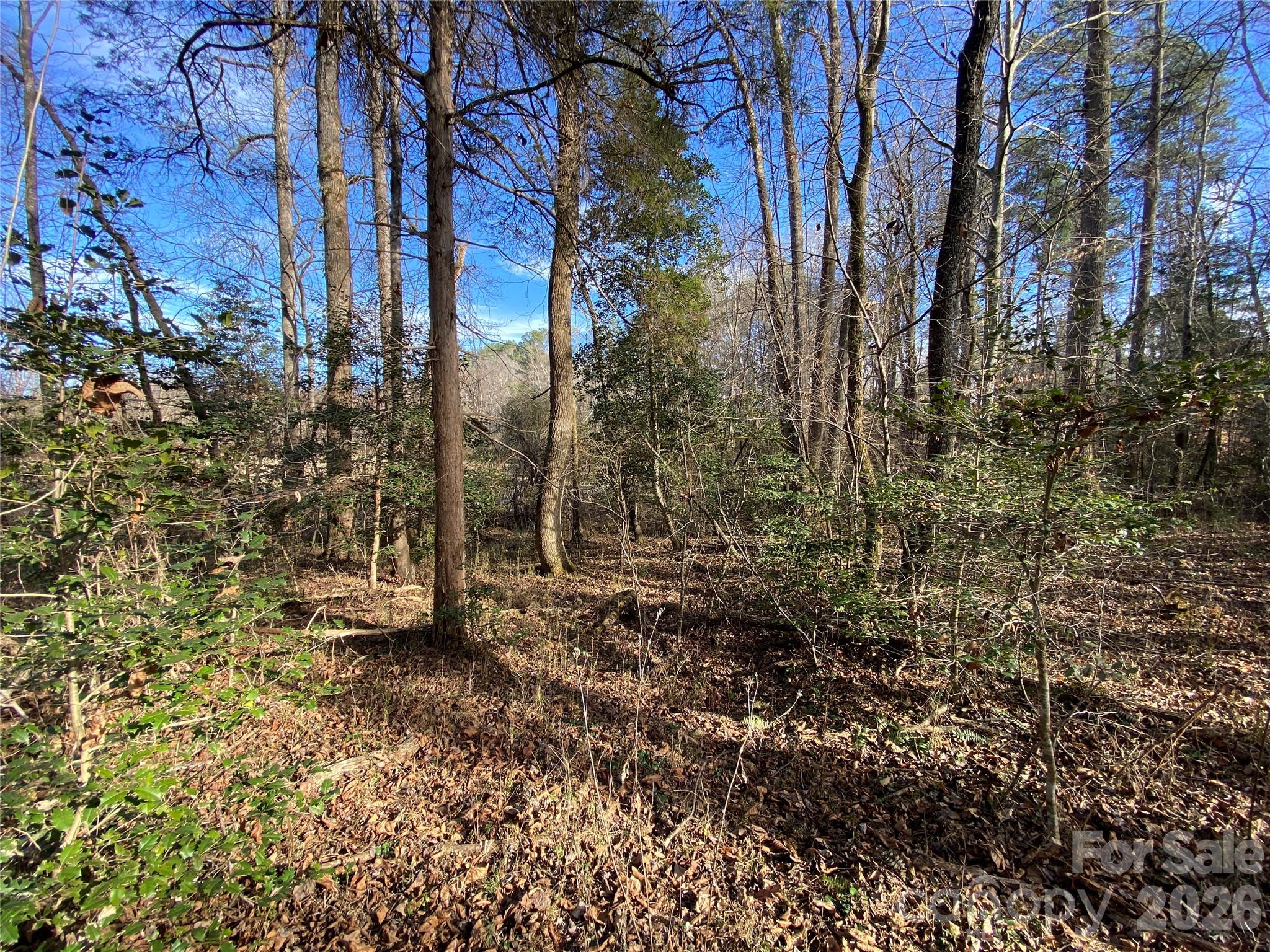 0 Us Highway Rutherfordton, NC 28139 - Photo 11 of 12