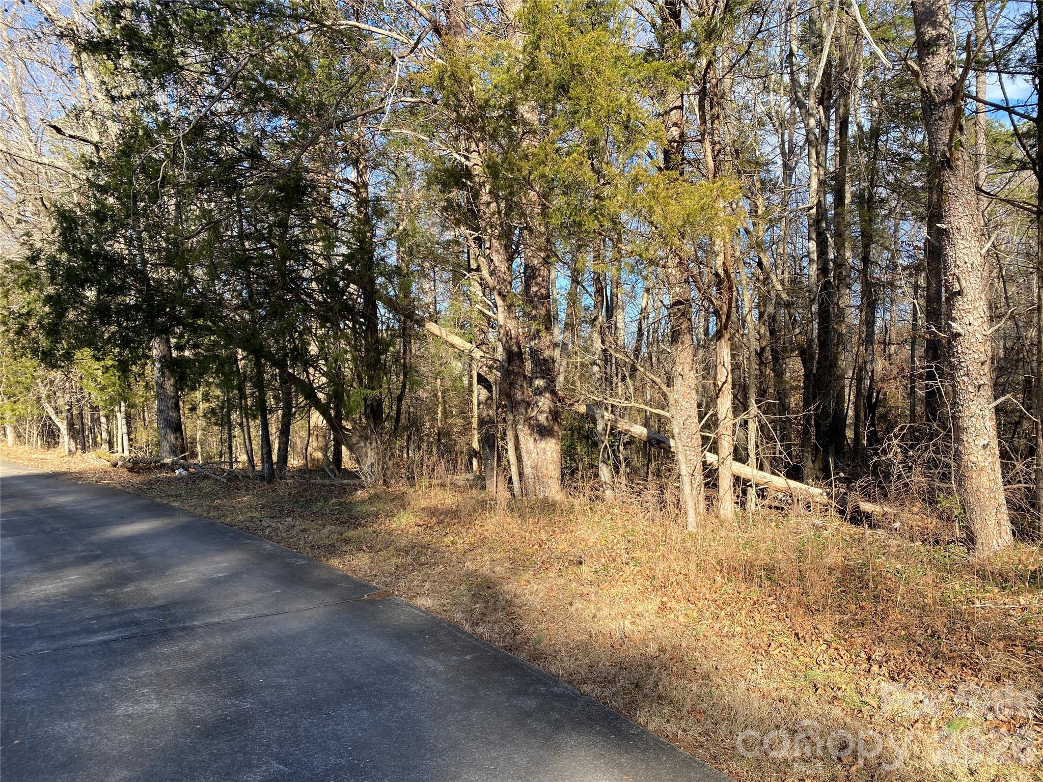 0 Us Highway Rutherfordton, NC 28139 - Photo 12 of 12