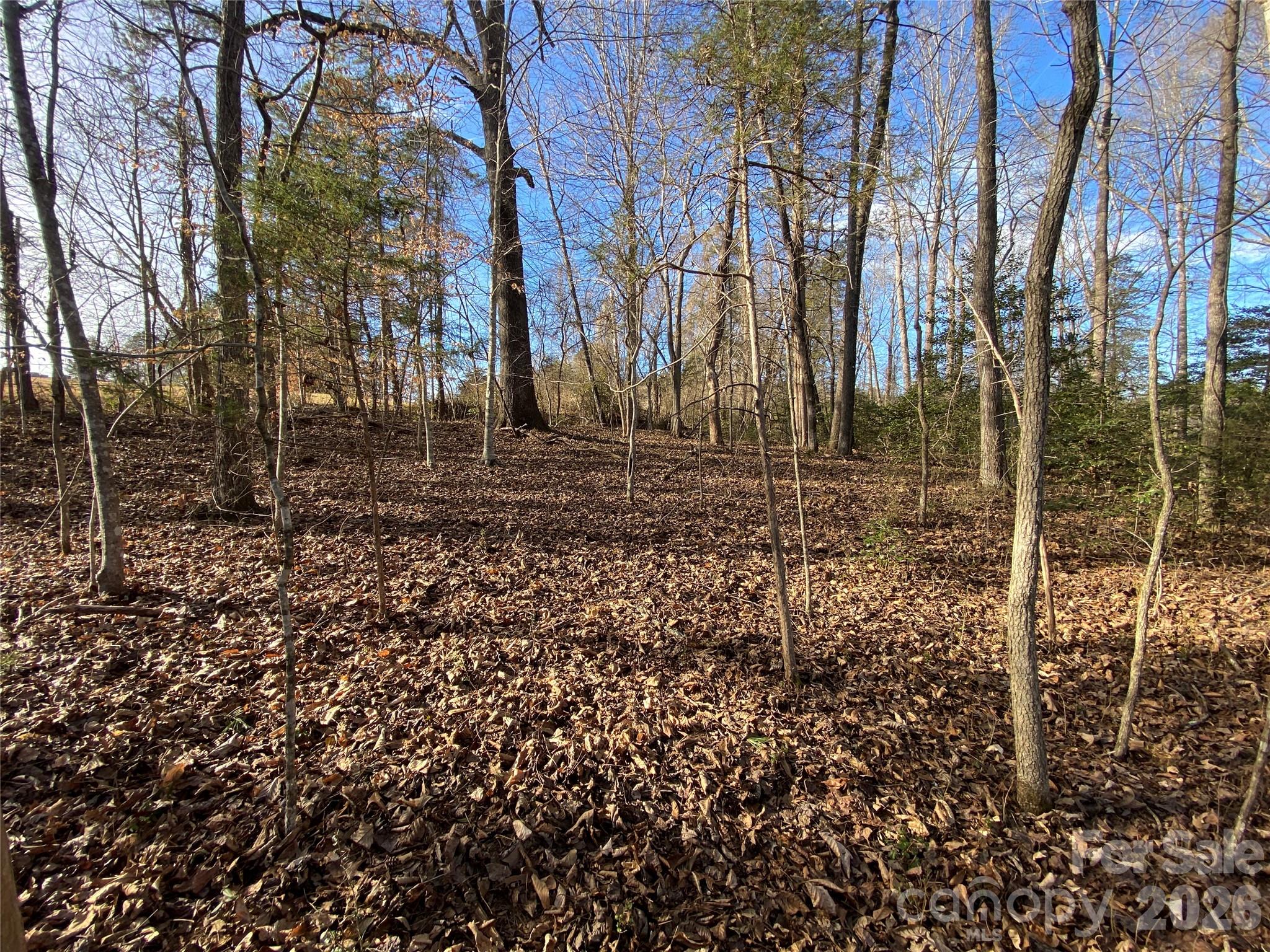 0 Us Highway Rutherfordton, NC 28139 - Photo 2 of 12