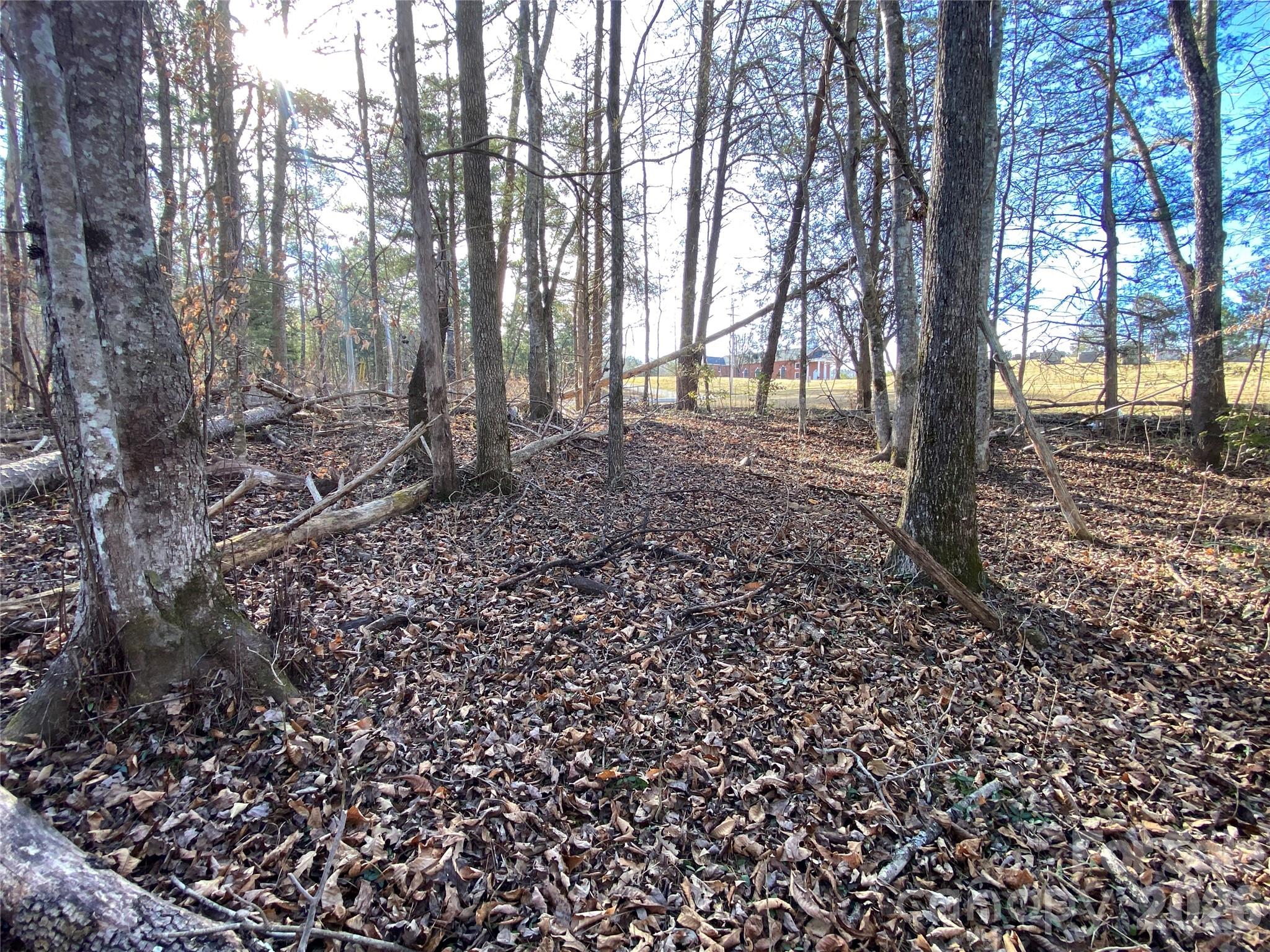 0 Us Highway Rutherfordton, NC 28139 - Photo 3 of 12