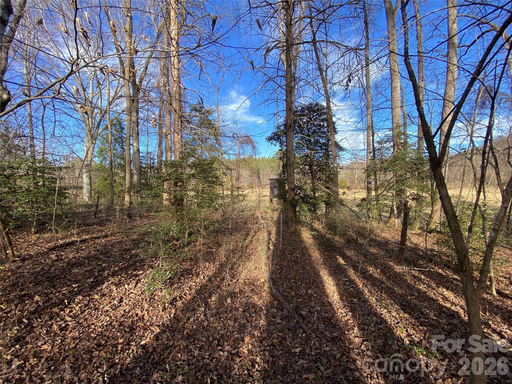 0 Us Highway Rutherfordton, NC 28139 - Photo 4 of 12