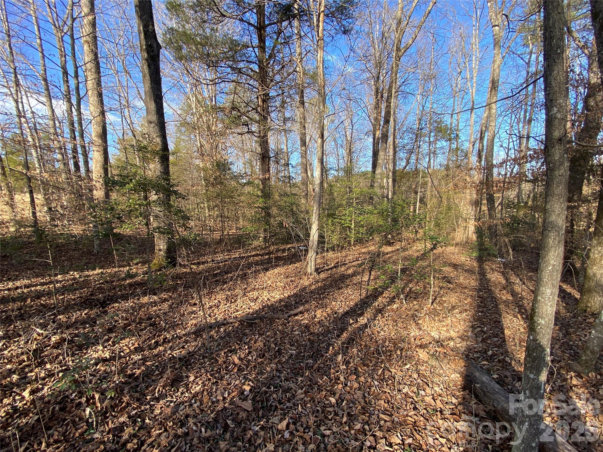 0 Us Highway Rutherfordton, NC 28139 - Photo 5 of 12