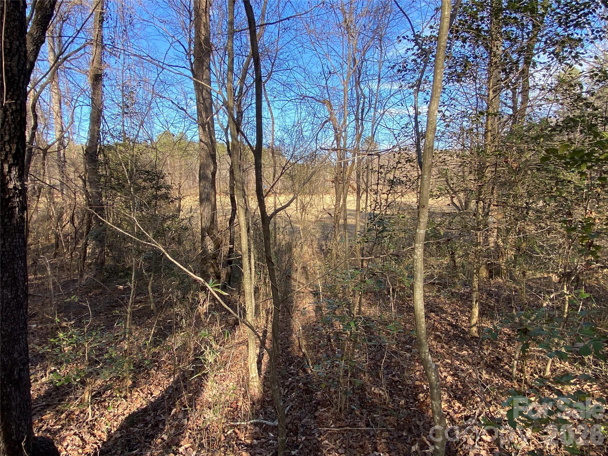 0 Us Highway Rutherfordton, NC 28139 - Photo 7 of 12