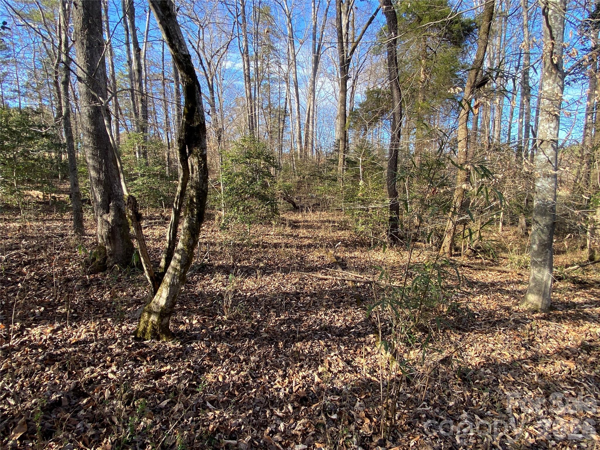 0 Us Highway Rutherfordton, NC 28139 - Photo 8 of 12