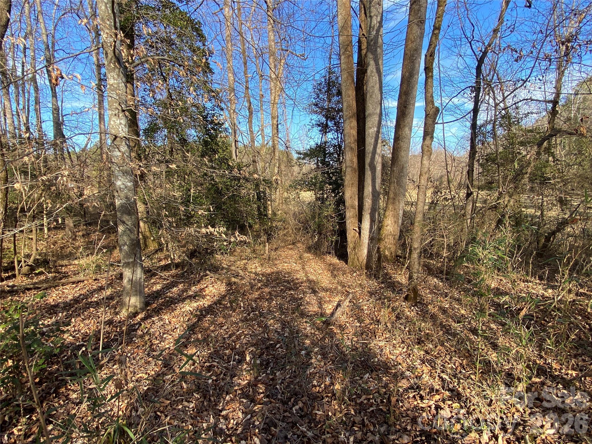 0 Us Highway Rutherfordton, NC 28139 - Photo 9 of 12