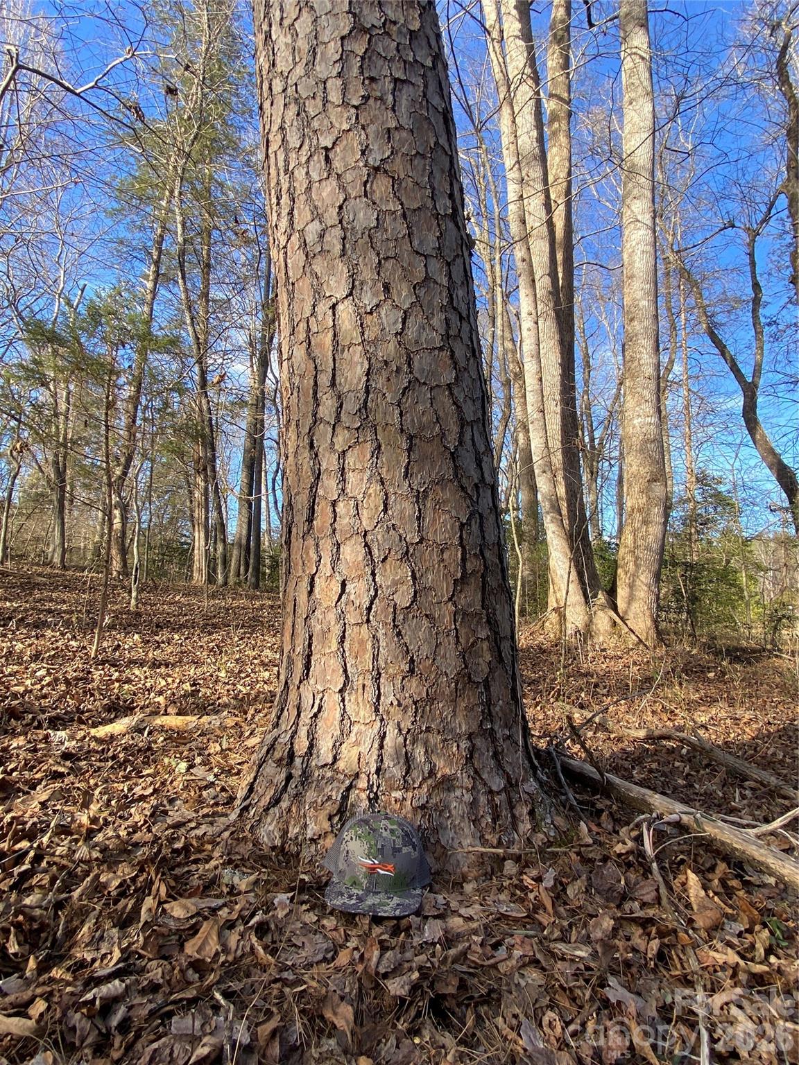 0 Us Highway Rutherfordton, NC 28139 - Photo 10 of 12