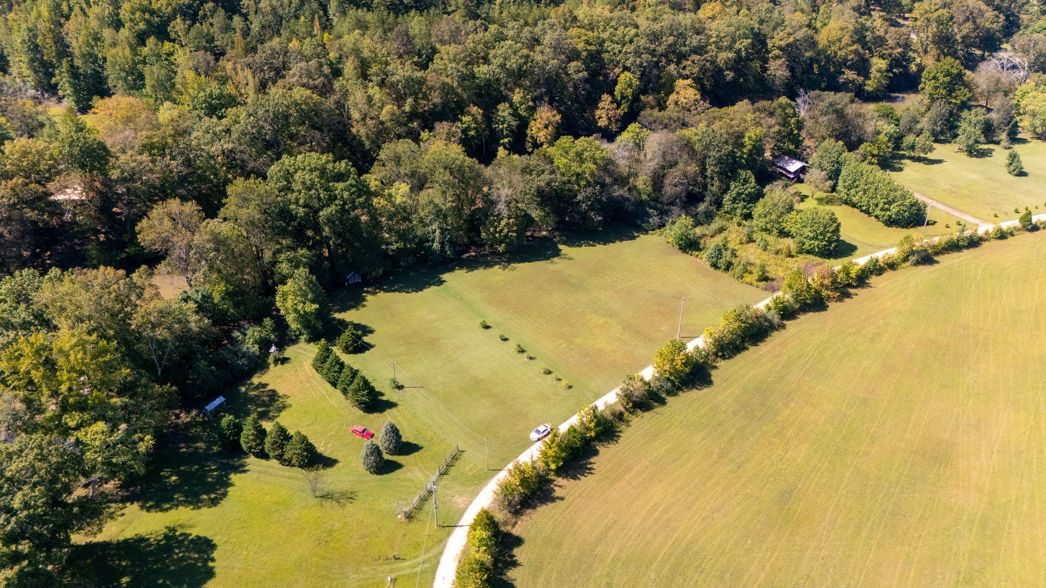 236 Texas Bottom Lane Hohenwald, TN 38462 - Photo 5 of 9 a view of a lake