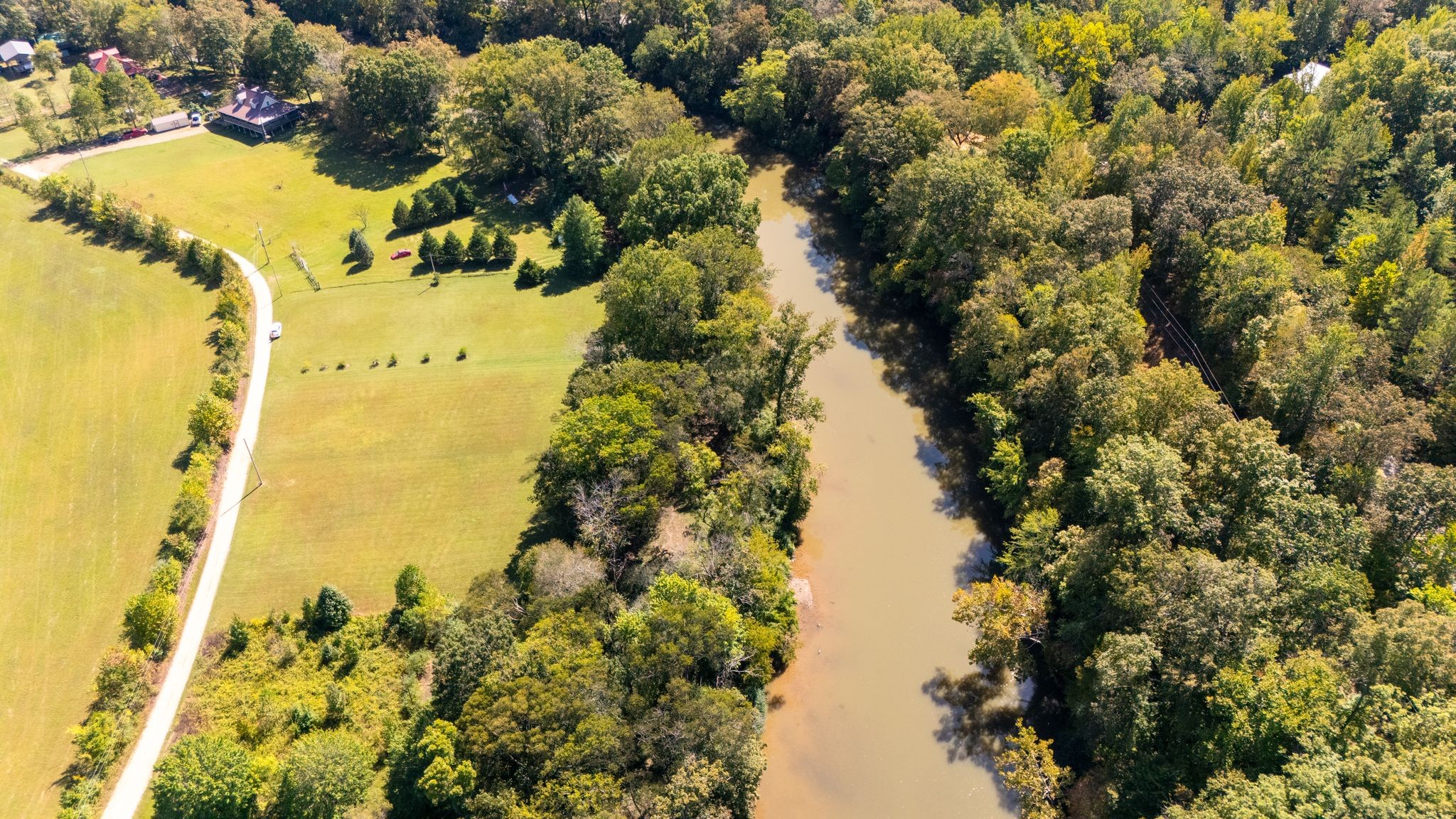 236 Texas Bottom Lane Hohenwald, TN 38462 - Photo 8 of 9 a view of a flower in a garden