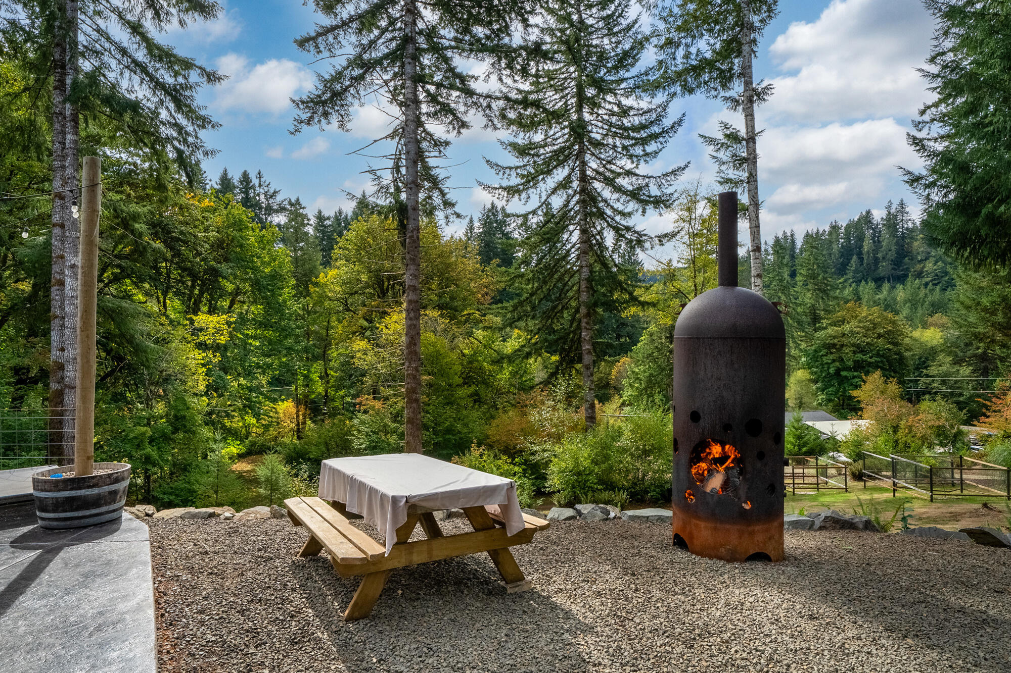 42520 Testament Creek Road Beaver, OR 97108 - Photo 44 of 62 65_dsc07910-hdr-edit