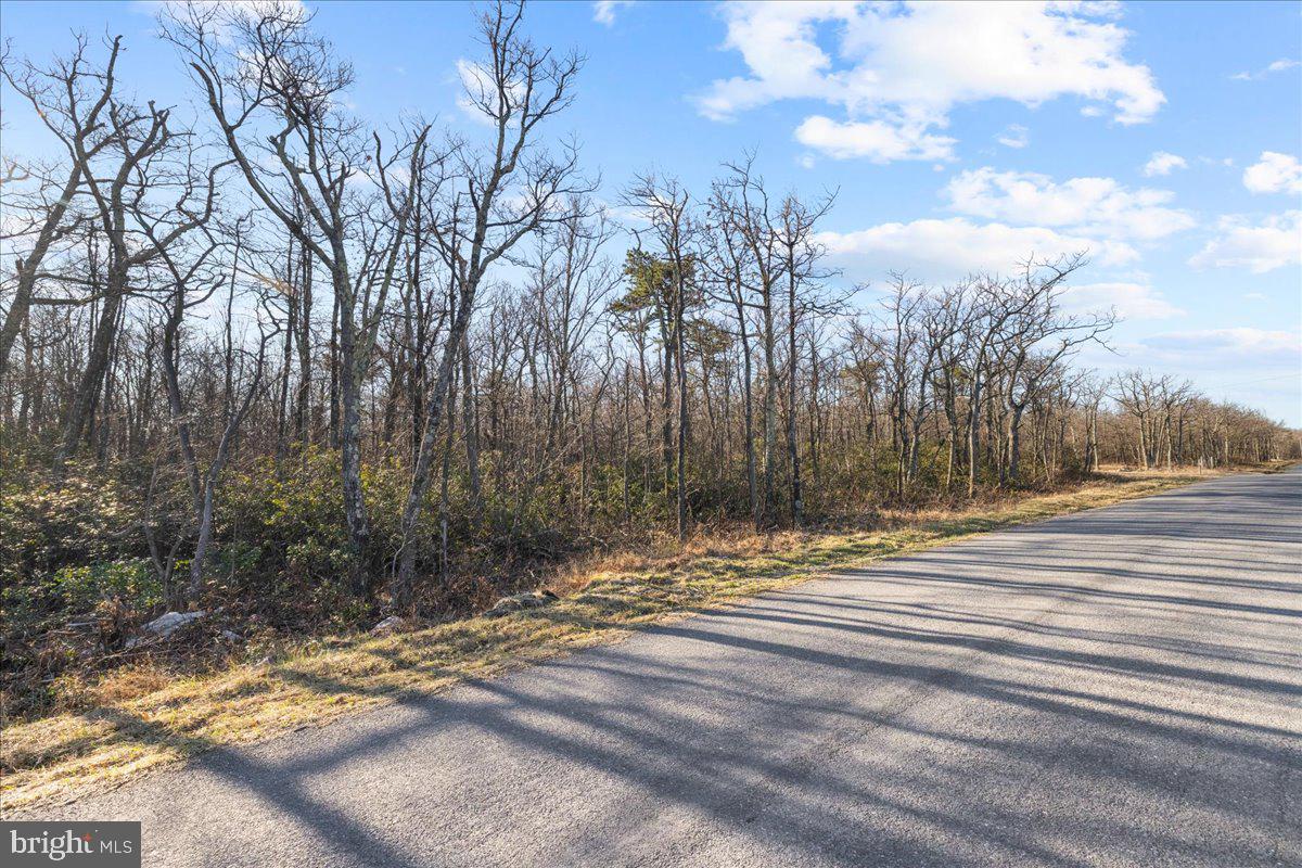 Lot 58 Timber Ridge Trail Winchester, VA 22602 - Photo 11 of 12 Gallery Image 11
