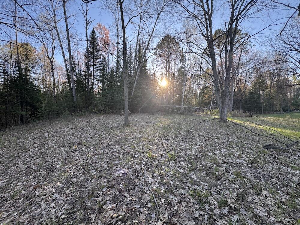 Lot 1 V/l Wildwood Road Alger, MI 48610 - Photo 19 of 35 IMG_2881