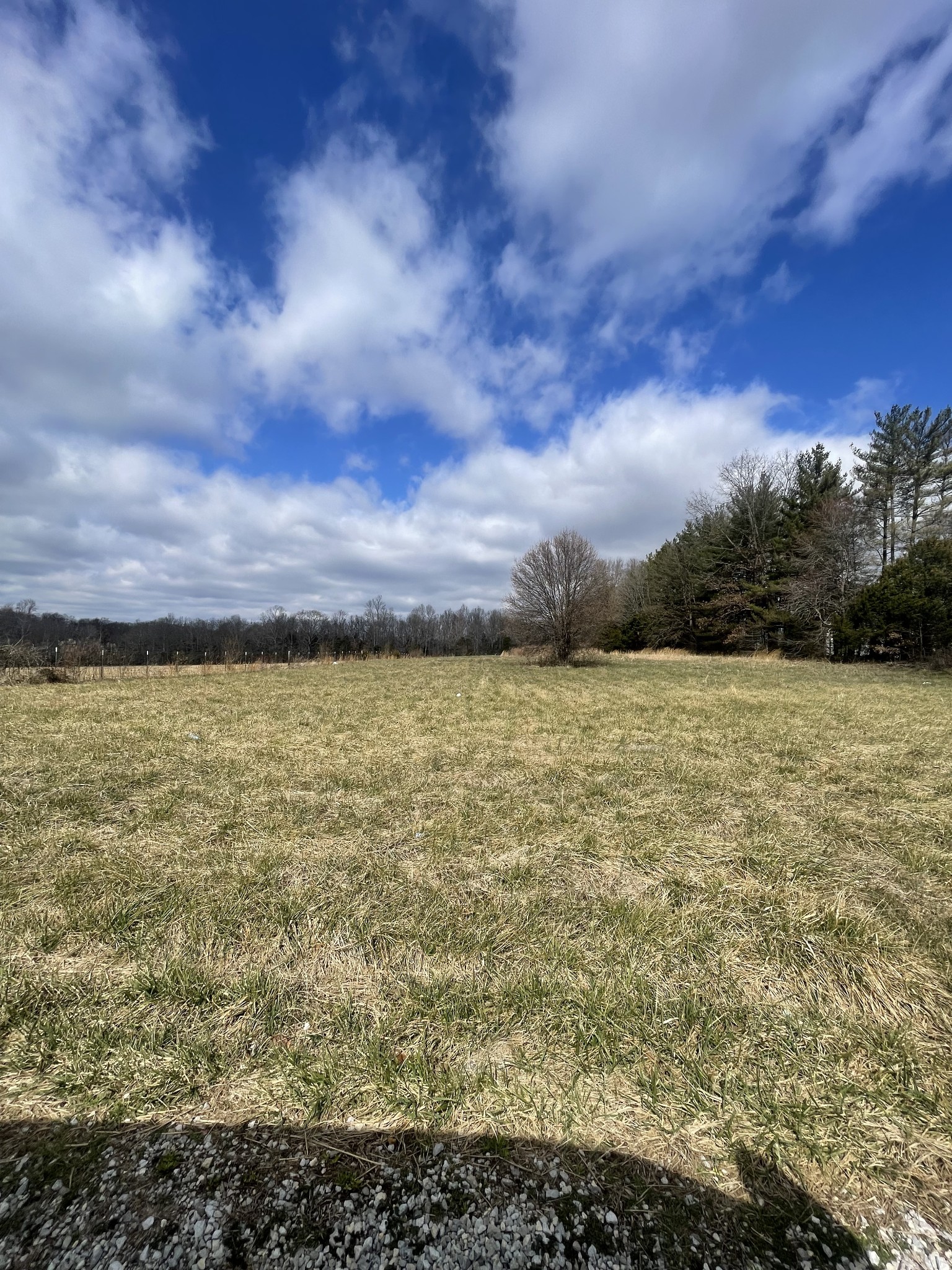 988 Womack Road McMinnville, TN 37110 - Photo 11 of 11 a view of a lake