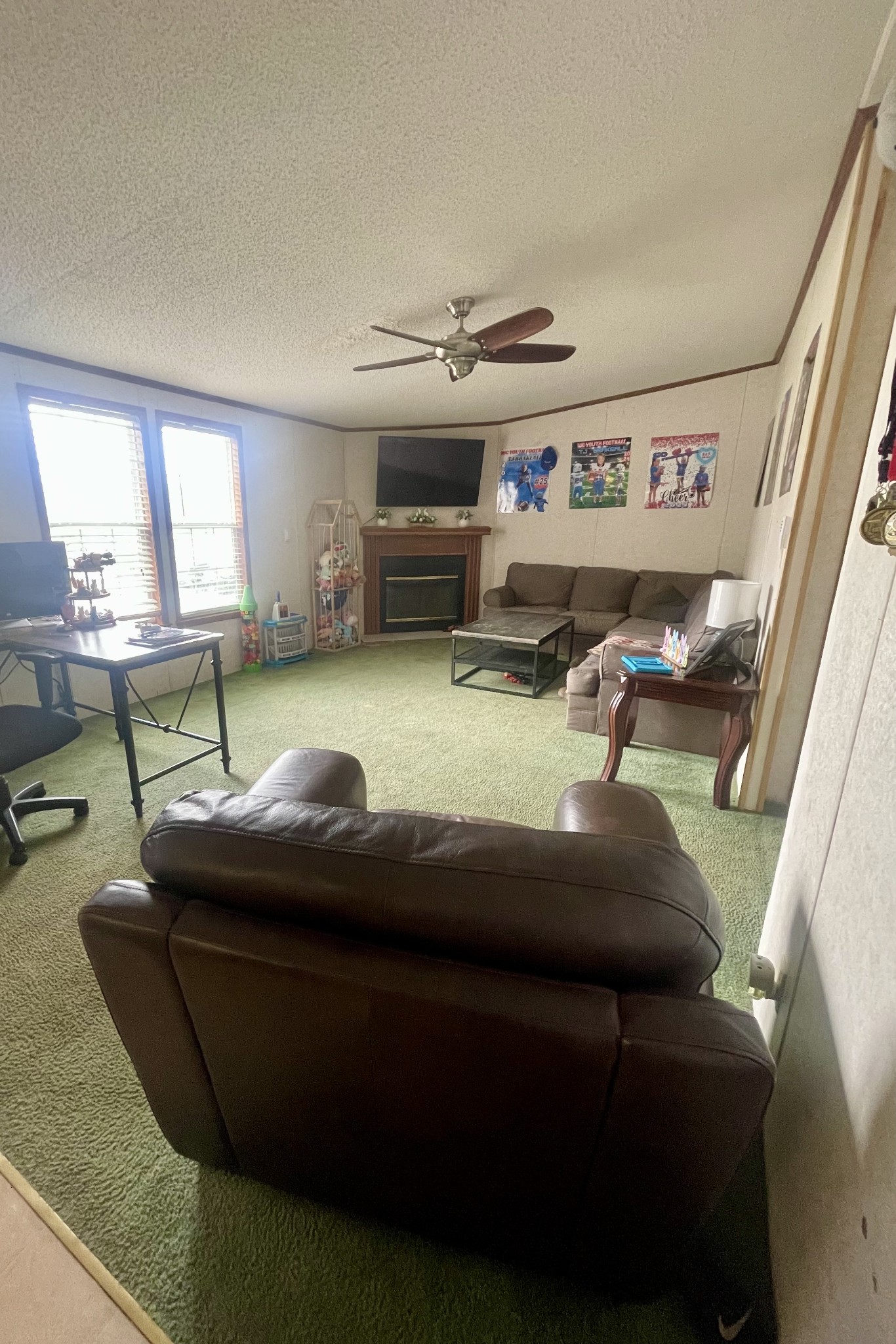 988 Womack Road McMinnville, TN 37110 - Photo 2 of 11 a living room with furniture