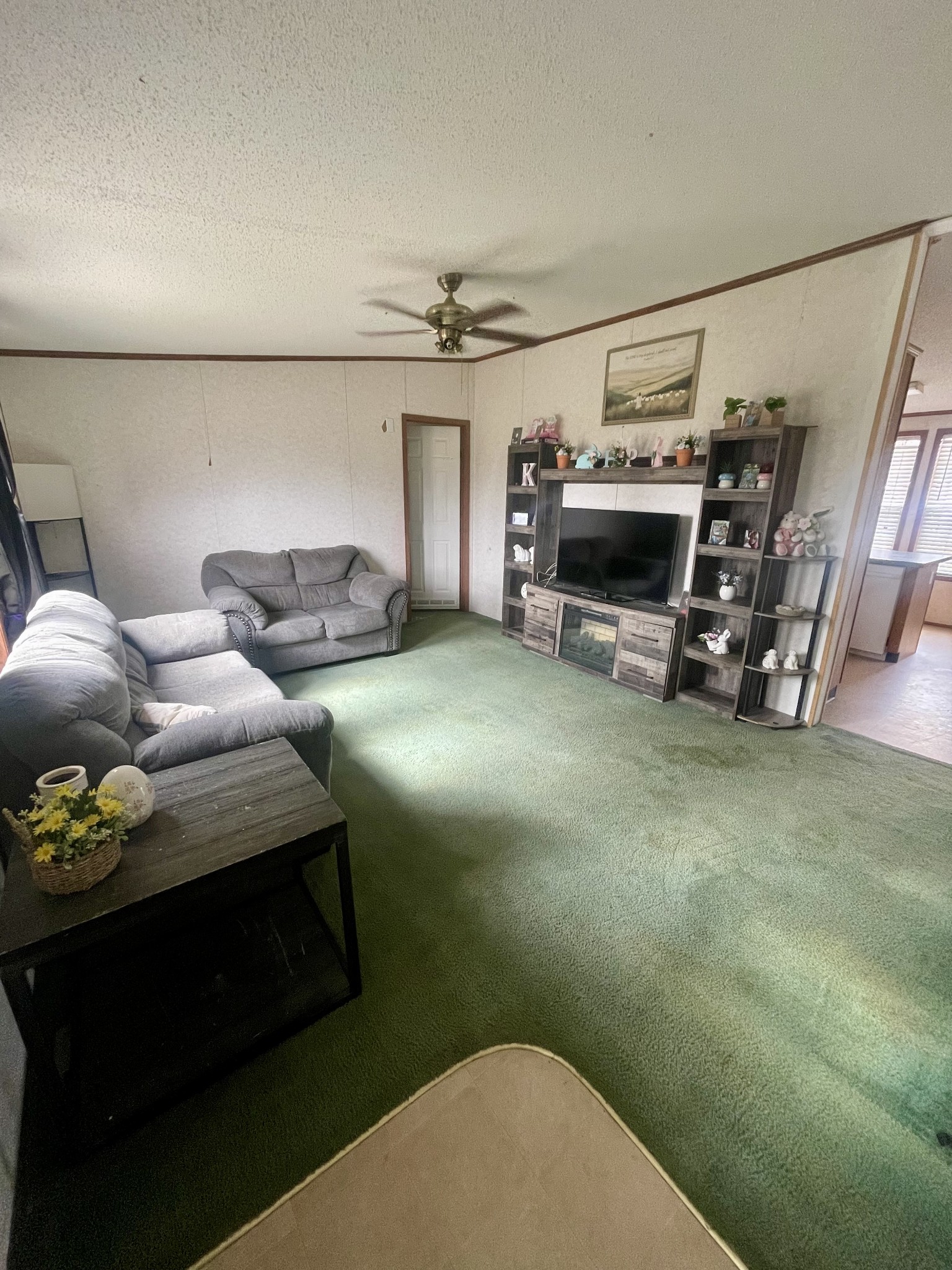 988 Womack Road McMinnville, TN 37110 - Photo 4 of 11 a view of livingroom with furniture