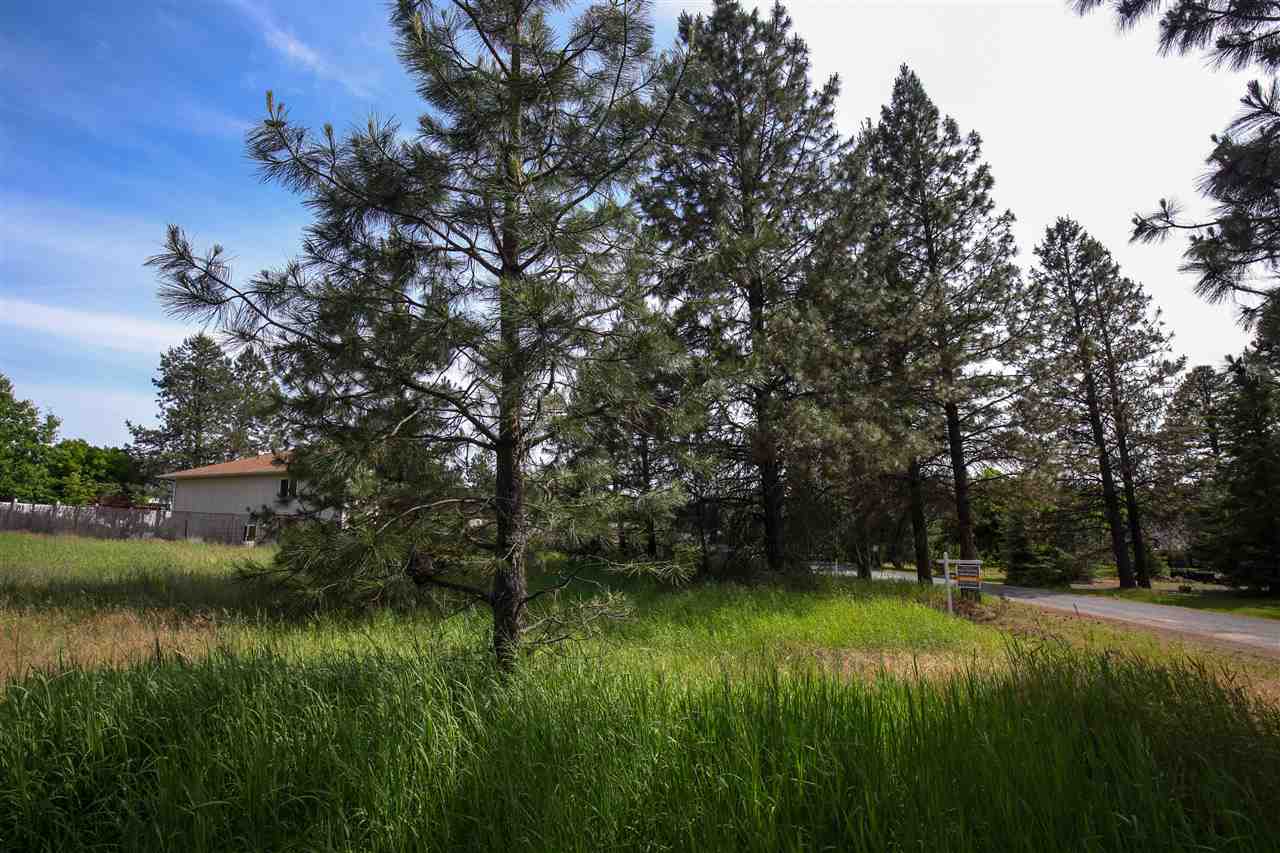 36220 North Sheets Road Elk, WA 99009 - Photo 12 of 15