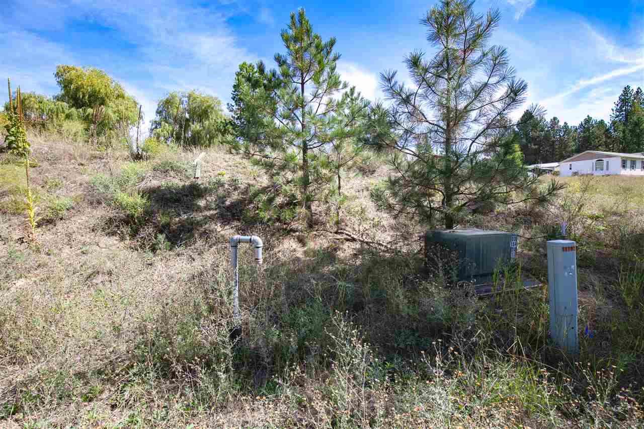 36220 North Sheets Road Elk, WA 99009 - Photo 5 of 15