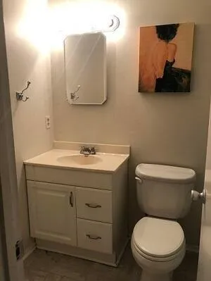 a bathroom with a toilet a sink and mirror