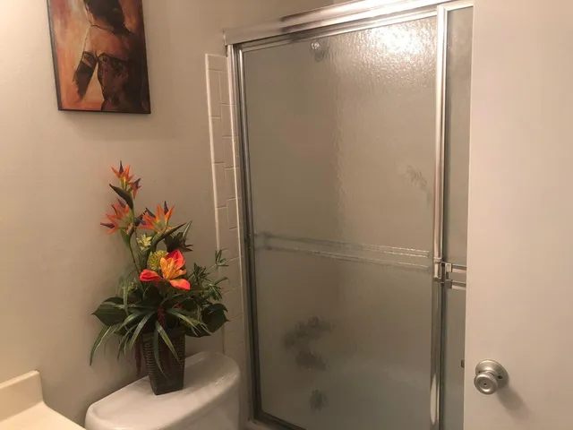 a bathroom with a shower and a toilet