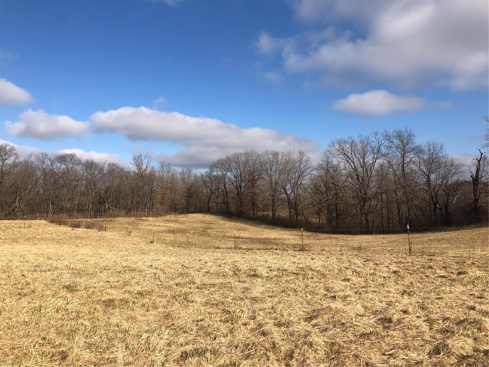 33436 Kane Road Medora, IL 62063 - Photo 5 of 13