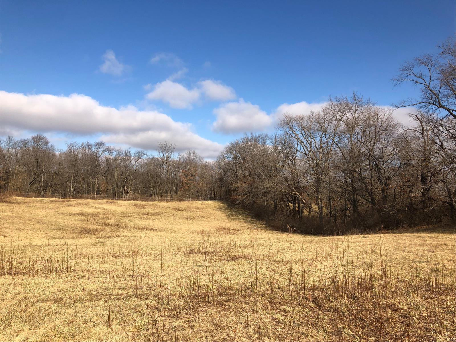 33436 Kane Road Medora, IL 62063 - Photo 8 of 13