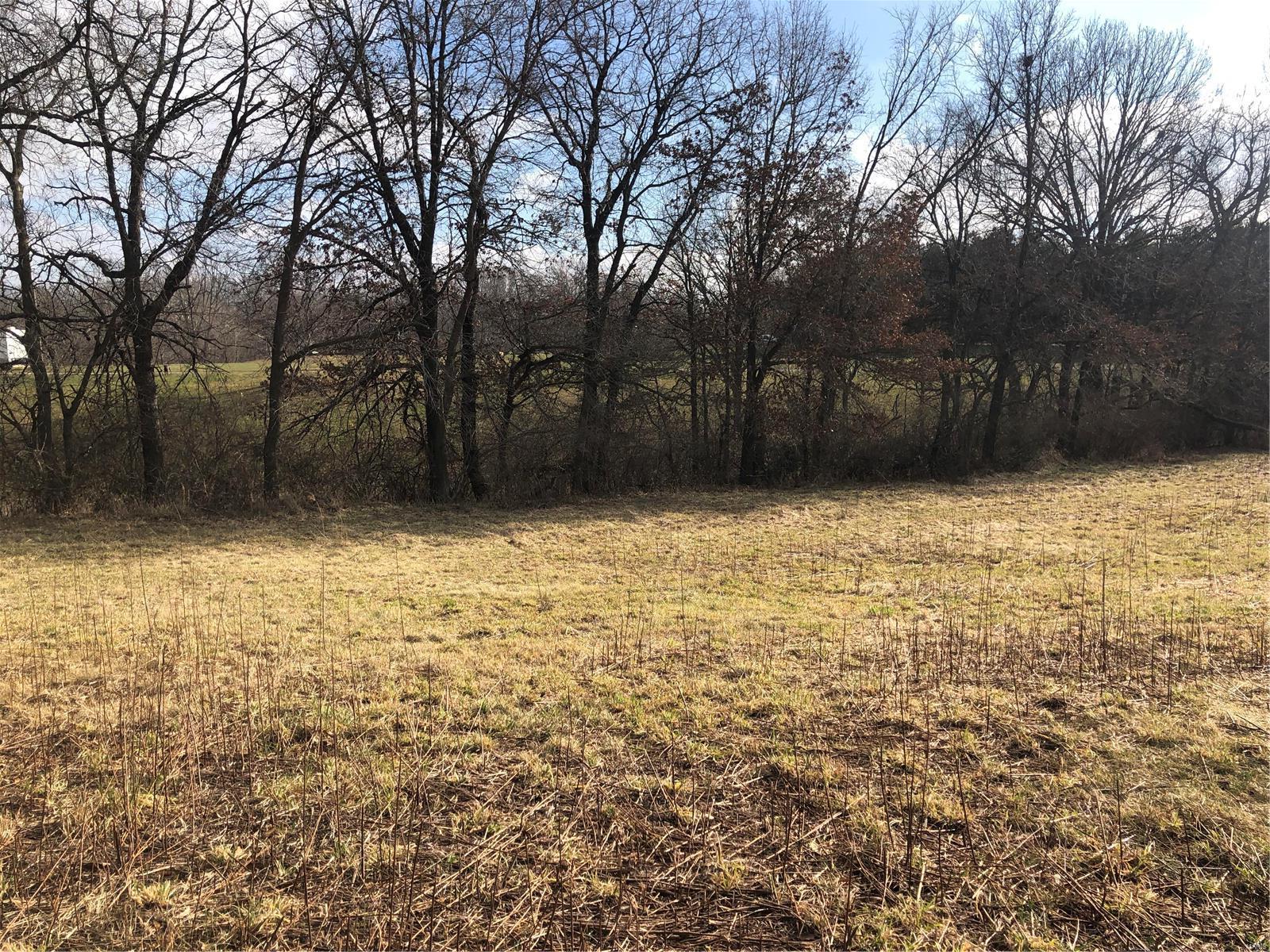 33436 Kane Road Medora, IL 62063 - Photo 9 of 13