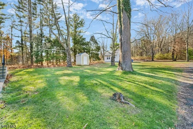 a view of a park with large trees