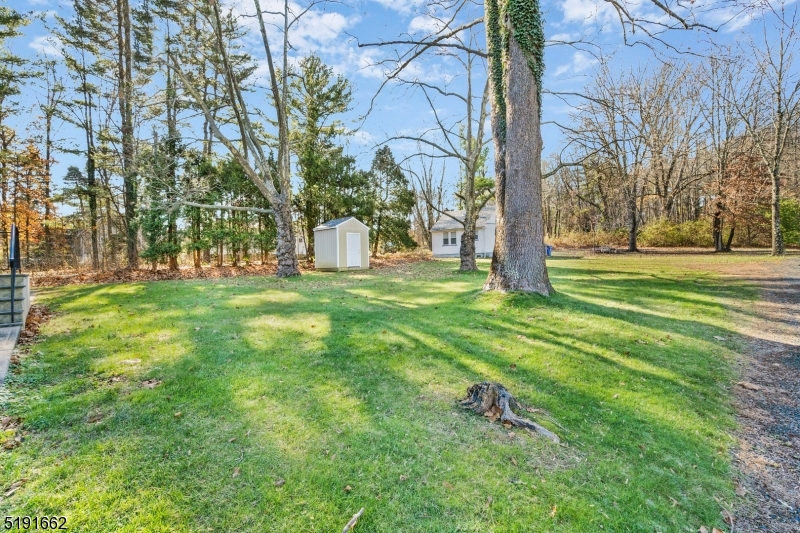 27 Hillcrest Road Warren, NJ 07059 - Photo 24 of 25 a view of a park with large trees