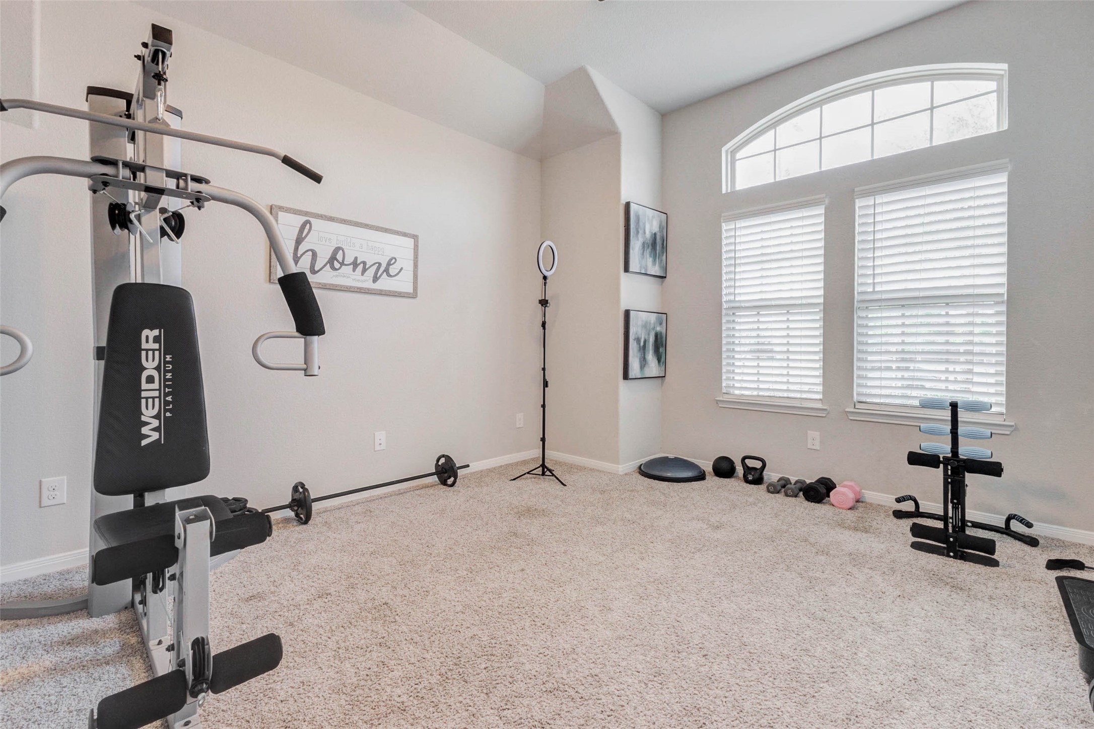 8623 Green Paseo Place Rosenberg, TX 77469 - Photo 7 of 15 Flex Room (office/study)