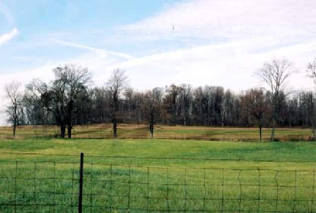 12361 South Old Road Muncie, IN 47302 - Photo 3 of 4