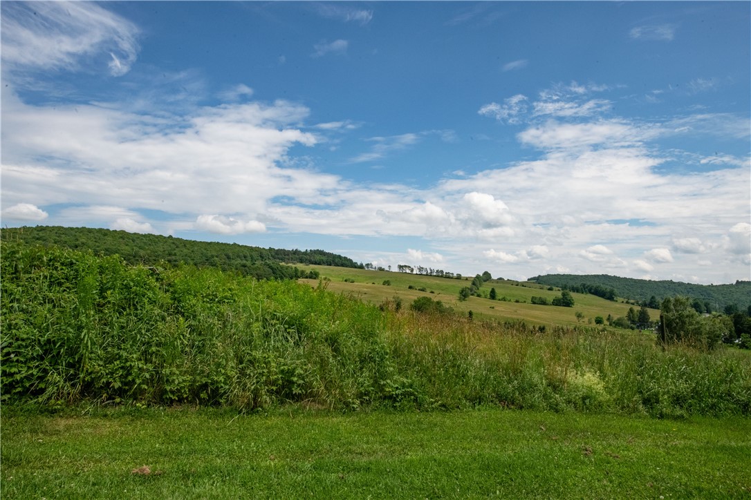 2690 Freer Hollow Road Franklin, NY 13856 - Photo 28 of 35