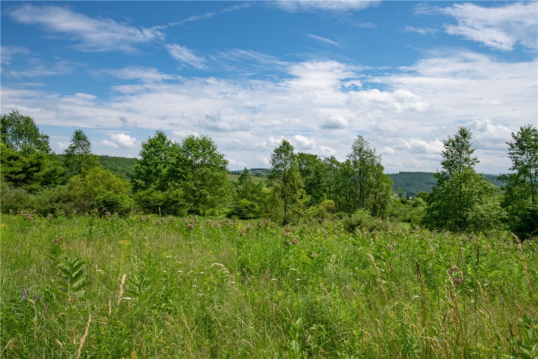 2690 Freer Hollow Road Franklin, NY 13856 - Photo 30 of 35
